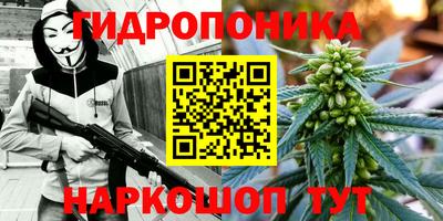 прущие грибы Ливны