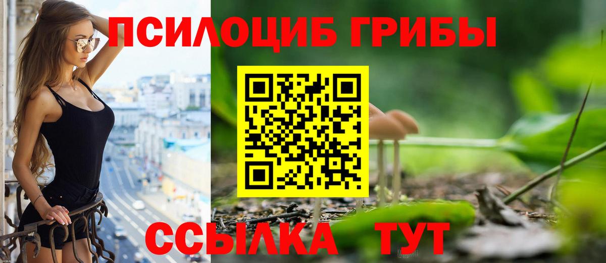 Псилоцибиновые грибы мицелий  Галлюциногенные грибы MAGIC MUSHROOMS  Вход с VPN  Тверь 